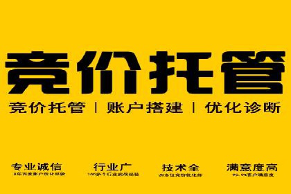 成功案例：竞价推广助力中小企业突破困境